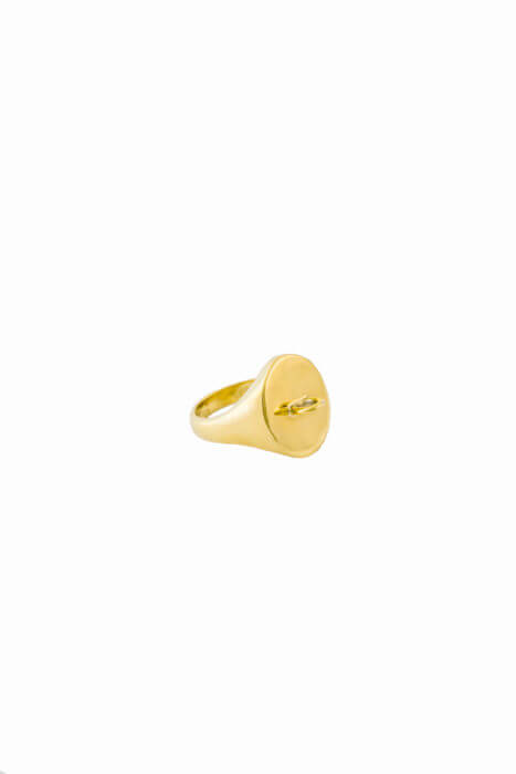 the-link-signet-ring-by-glenda-lopez-lateral